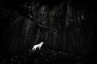 Creative Photo Awards Nominations