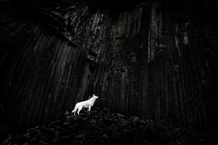 Creative Photo Awards Nominations