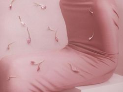 Karya Nominator Siena Creative Photo Awards, Ada dari Indonesia