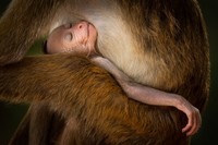 Creative Photo Awards Nominations