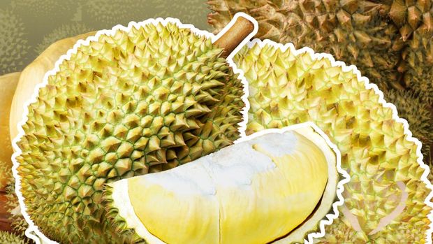 Ekspor Durian Diam-Diam Terbang 515%