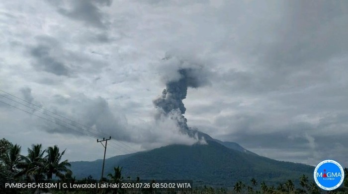 Gunung Lewotobi Laki-laki Meletus di Flores Timur, NTT, meletus pada Jumat (26/7/2024).