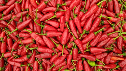 Ilustrasi cabai berwarna merah