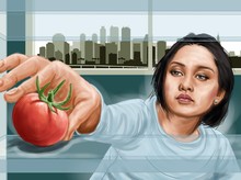 Separuh Tomat dalam Kulkas