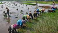 Bendungan Logung telah selesai dibangun oleh kementerian PUPR pada 2018 dan kini mulai terasa manfaatnya.  