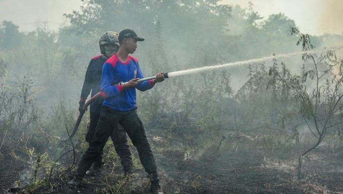 Petugas Dinas Pemadam Kebakaran dan Penyelamatan (Damkartan) Kota Jambi memadamkan api yang membakar lahan di Sijenjang, Jambi, Jumat (26/7/2024). Kobaran api menghanguskan sedikitnya 10 hektar lahan, sementara penyebab kebakaran masih diselidiki pihak terkait. ANTARA FOTO/Wahdi Septiawan/foc.