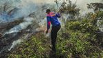 Duh! 10 Hektar Lahan di Jambi Terbakar