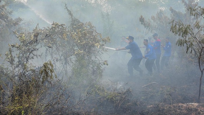 Petugas Dinas Pemadam Kebakaran dan Penyelamatan (Damkartan) Kota Jambi memadamkan api yang membakar lahan di Sijenjang, Jambi, Jumat (26/7/2024). Kobaran api menghanguskan sedikitnya 10 hektar lahan, sementara penyebab kebakaran masih diselidiki pihak terkait. ANTARA FOTO/Wahdi Septiawan/foc.