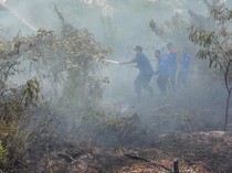 Duh! 10 Hektar Lahan di Jambi Terbakar