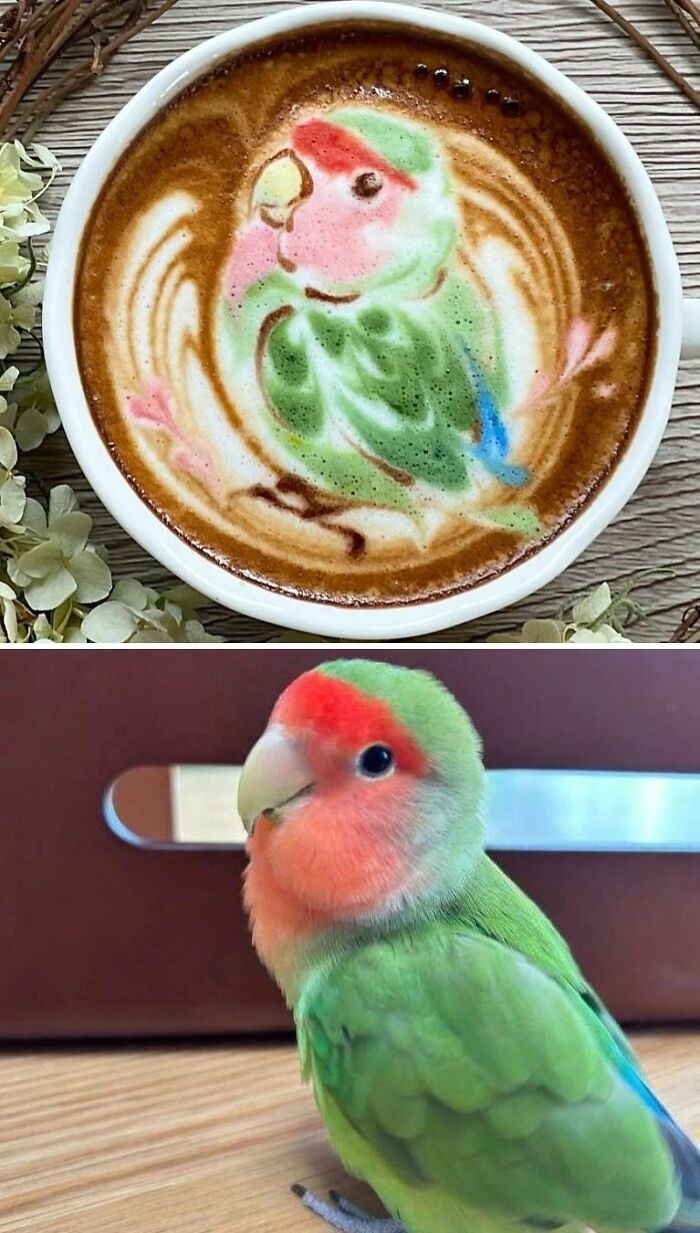 Keren! 10 Latte Art yang Keren dan Diubah Menjadi Karya Seni