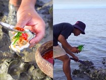 Mantap! Pria Ini Makan Oyster Langsung dari Cangkang di Karang Penuh Lumpur
