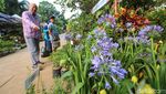 Pameran Flona 2024 Masih Berlangsung, Yuk Serbu!