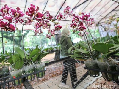 Pameran Flona 2024 Masih Berlangsung, Yuk Serbu!