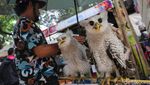 Pameran Flona 2024 Masih Berlangsung, Yuk Serbu!