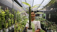 Bahkan, pengunjung juga bisa berbelanja tanaman hias atau tanaman buah yang ada.  