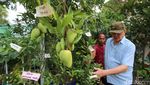 Pameran Flona 2024 Masih Berlangsung, Yuk Serbu!