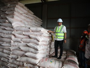 Segini Pasokan Pupuk Subsidi di Merauke yang Jadi Lumbung Pangan