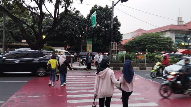 Pelican crossing di Pocin, Depok (Fawdi/detikcom)