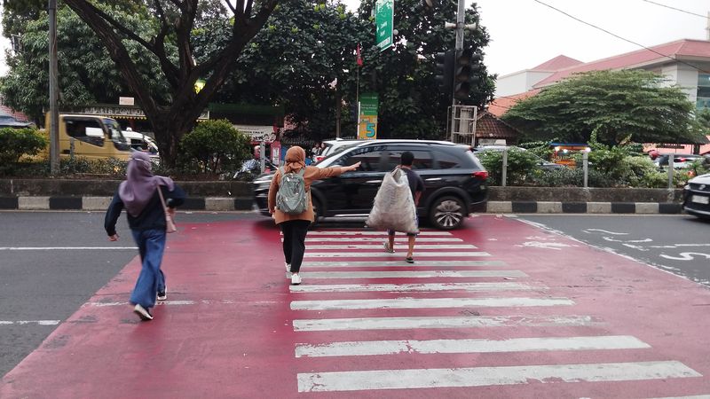 Pelican crossing di Pocin, Depok (Fawdi/detikcom)