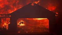 Sejumlah rumah dan bangunan milik warga terbakar akibat api yang meluas. (REUTERS/Fred Greaves) 