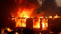 Dilansir Reuters, menurut pejabat Cal Fire, kobaran api yang terjadi sejak 24 Juli malam membesar akibat angin kencang dan kondisi kering. (REUTERS/Fred Greaves) 
