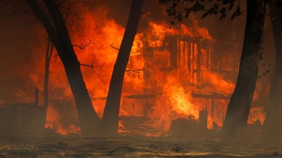 Pemukiman Warga di California Membara Dilalap Kebakaran Hutan