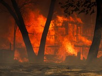 Pemukiman Warga di California Membara Dilalap Kebakaran Hutan