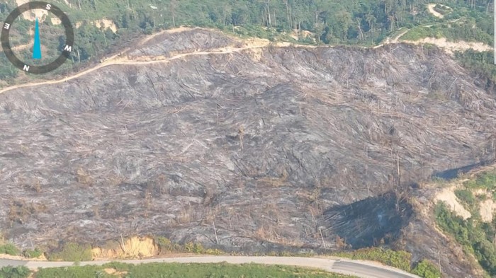 Penampakan lahan terbakar di Rokan Hulu (Foto: Dok BPBD)
