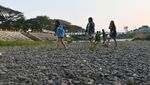 Penampakan Sungai di Madiun yang Mengering Akibat Kemarau