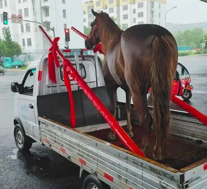 Pernikahan viral Pernikahan viral