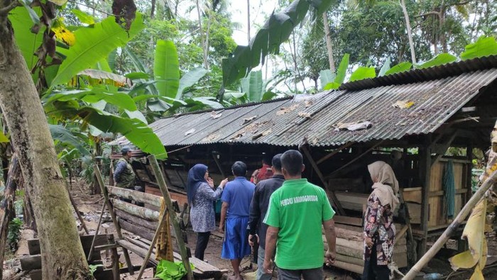 Petugas melakukan pemeriksaan ke kandang kambing yang dimangsa ajag.