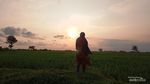 Hamparan Sawah di Desa Singkil Purworejo Secantik Ini