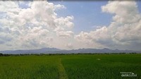 Lukisan alam, sawah, pohon, bukit, awan, dan langit biru. Ada yang nostalgia melihat pemandangan ini?