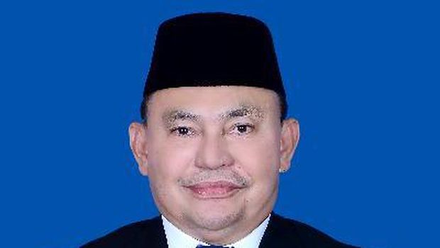 Ujang Iskandar (dok. DPR)