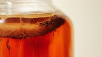 Populer jadi minuman kesehatan, kombucha tidak disukai sebagian orang karena aromanya mirip kaki yang bau hingga rasanya asam seperti cuka. Foto: Site/Pool