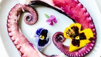 Walau gurita termasuk ke dalam seafood yang enak, tapi beberapa orang tak suka dengan tekstur daging gurita yang keras juga tentakelnya yang menyeramkan. Foto: Site/Pool