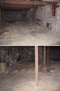 Foto Basement Mengerikan