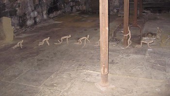 Kira-kira benda seperti orang merangkat makhluk sungguhan atau buatan? Foto: Reddit via Boredpanda