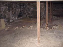 Foto Basement yang Bikin Takut dan Merinding