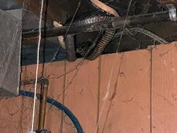 Foto Basement yang Bikin Takut dan Merinding