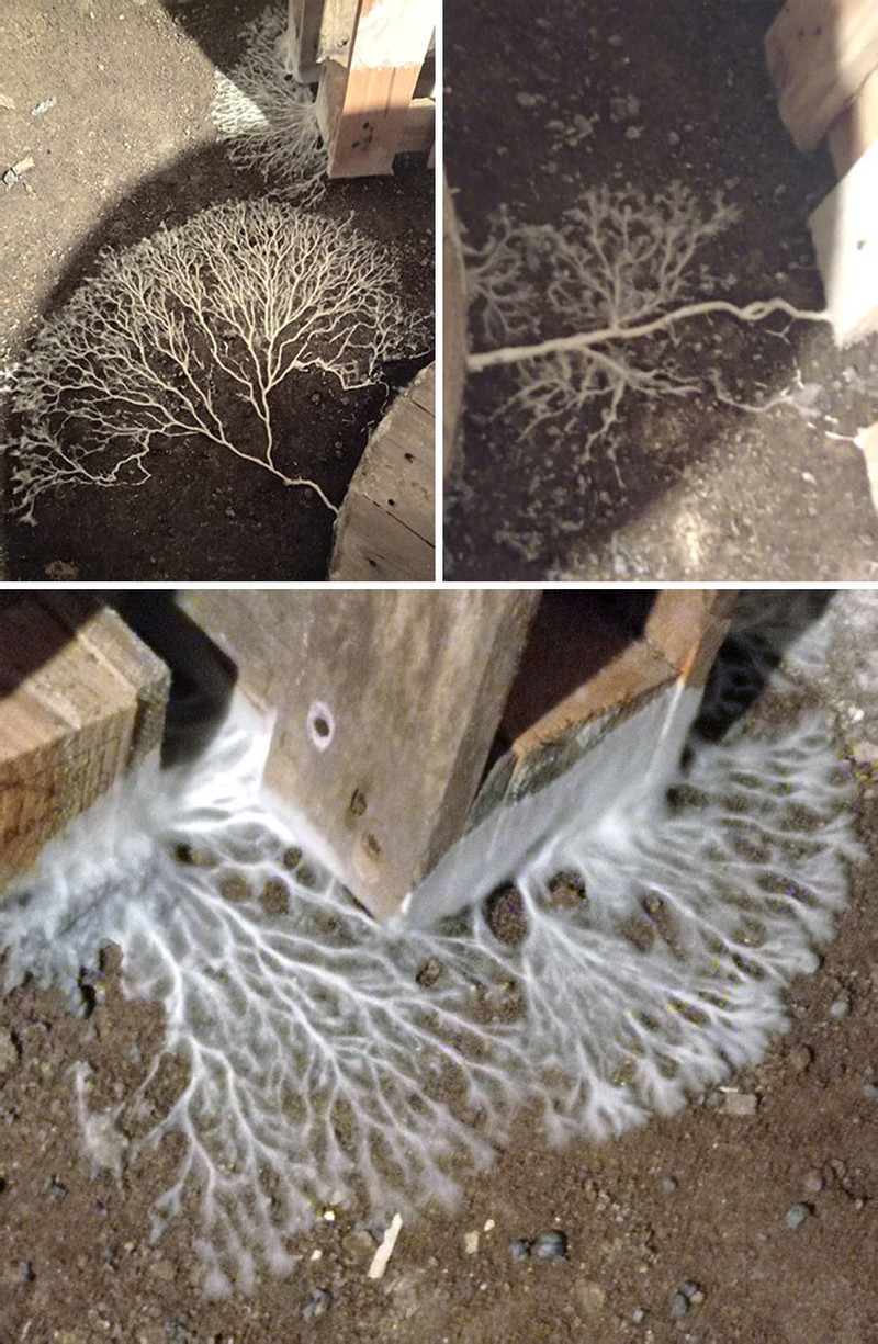 Foto Basement Mengerikan