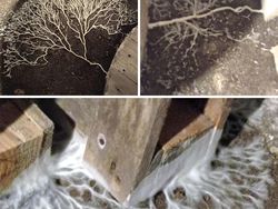 Foto Basement yang Bikin Takut dan Merinding