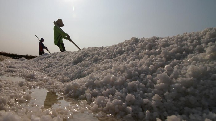Petambak memanen garam di Desa Tambak Cemandi, Sedati, Sidoarjo, Jawa Timur, Jumat (26/7/2024). Garam hasil panen tersebut dijual Rp60 ribu hingga Rp70 ribu  per karung. ANTARA FOTO/Umarul Faruq/tom.