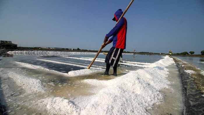 Petambak memanen garam di Desa Tambak Cemandi, Sedati, Sidoarjo, Jawa Timur, Jumat (26/7/2024). Garam hasil panen tersebut dijual Rp60 ribu hingga Rp70 ribu  per karung. ANTARA FOTO/Umarul Faruq/tom.