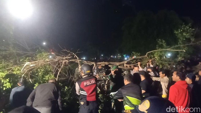 Pohon beringin di Alun-alun Banjarnegara tumbang saat gelaran Banjarnegara Culture Heritage, Sabtu (27/7/2024).