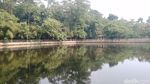 Potret Hutan Kota Munjul, Spot Favorit Warga Buat Mancing-Refreshing