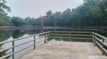 Potret Hutan Kota Munjul, Spot Favorit Warga Buat Mancing-Refreshing