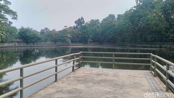 Warga Cipayung, Jakarta Timur tidak perlu jauh-jauh untuk mancing atau pun refreshing. Kegiatan itu bisa dilakukan di Hutan Kota Munjul.
