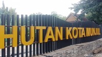 Saat detikTravel berkunjung ke hutan kota itu pada Jumat (27/7/2024). Masuk melalui gerbang utama Pondok Pesantren Al Hamid, Hutan Kota Munjul itu tampak kecil. Hanya terdapat sebuah parkiran, kolam, dan pos jaga.