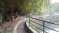 Penasaran akan luasannya, detikTravel pun mengikuti jalur pejalan kaki yang ada di sana. Akhirnya kesan lahan kecil itu pun sirna ketika masuk lebih dalam lagi, setelah masuk barulah terlihat lahan yang luas dengan tiga kolam besar di dalamnya.